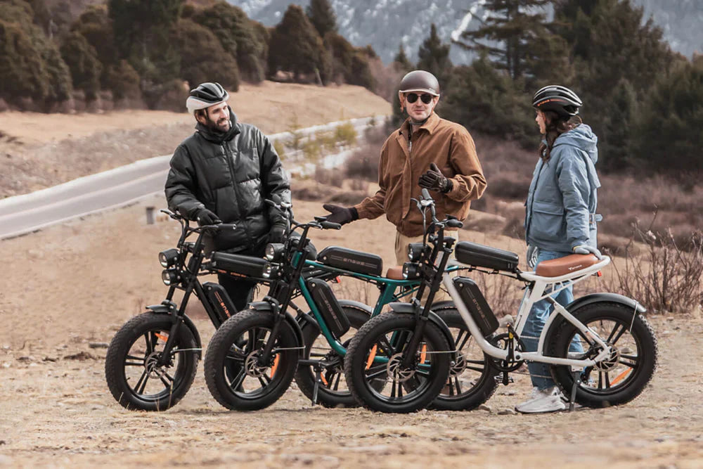 Things to Know About Electric Mountain Bikes